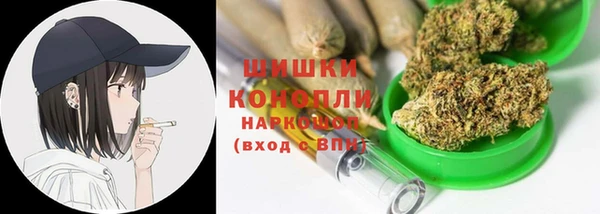 ГАЛЛЮЦИНОГЕННЫЕ ГРИБЫ Абаза
