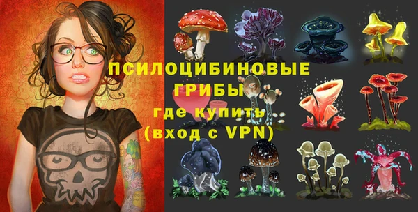 ГАЛЛЮЦИНОГЕННЫЕ ГРИБЫ Абаза