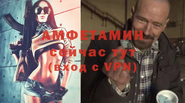 ГАЛЛЮЦИНОГЕННЫЕ ГРИБЫ Абаза