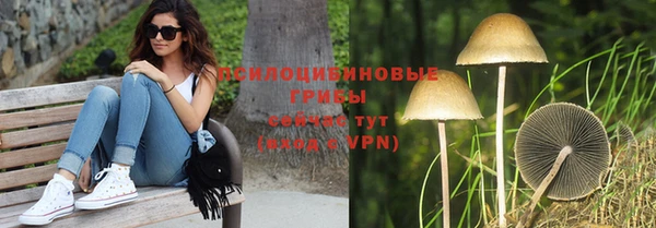 амф Осинники
