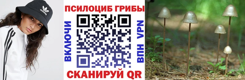 Псилоцибиновые грибы Psilocybe Урус-Мартан