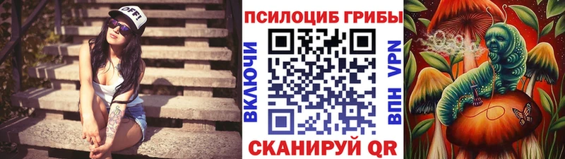 KRAKEN зеркало  Урус-Мартан  Галлюциногенные грибы прущие грибы 