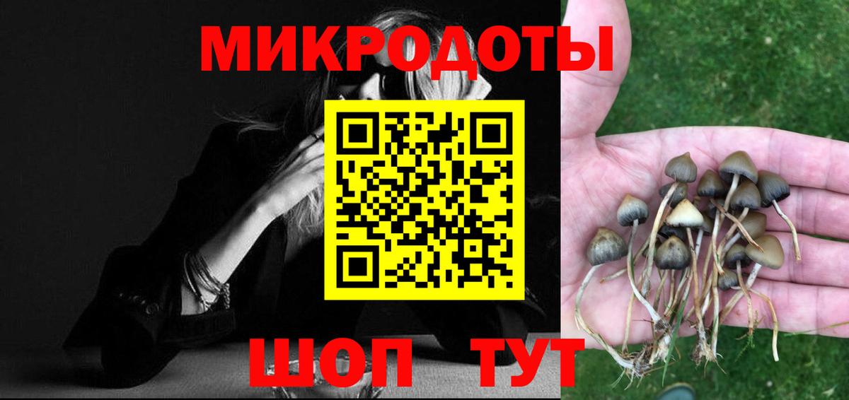 Галлюциногенные грибы Psilocybe Урус-Мартан